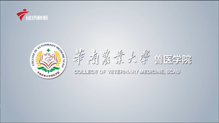 华南农业大学兽医k8体育平台2021年宣传视频